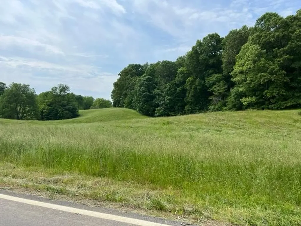 Lot 9 Willow Grove Highway Allons TN 38541