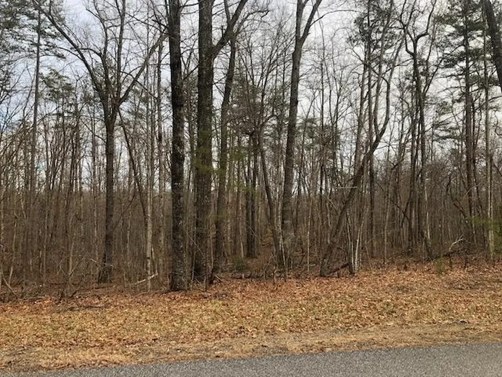 Lot 14 Laurel Way Monterey TN 38574