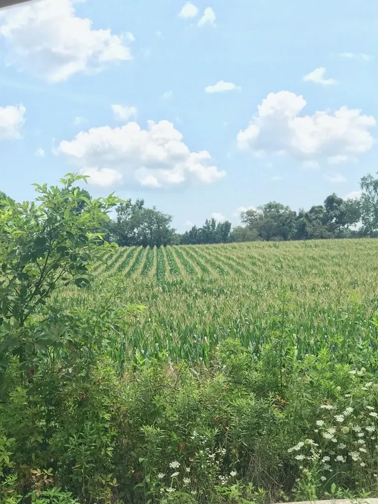 7.32 Ac Buffalo Valley Road Baxter TN 38544