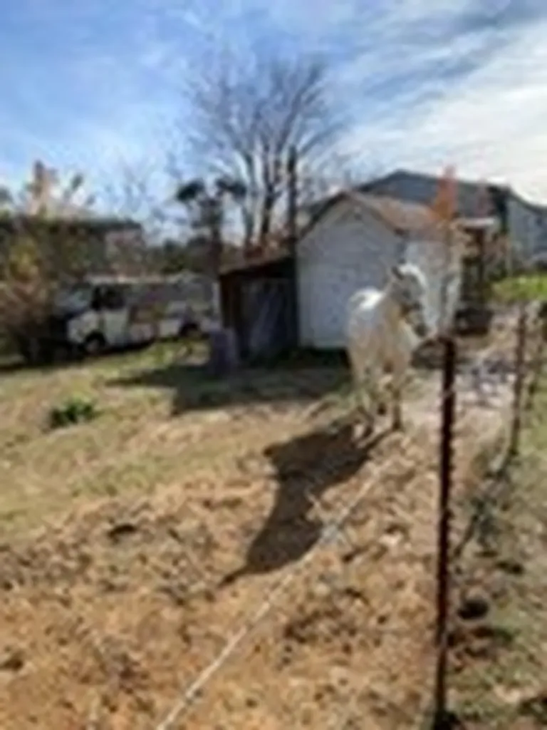 411&415 Allen Ferry Road Smithville TN 37166