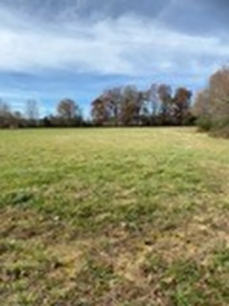 411&415 Allen Ferry Road Smithville TN 37166
