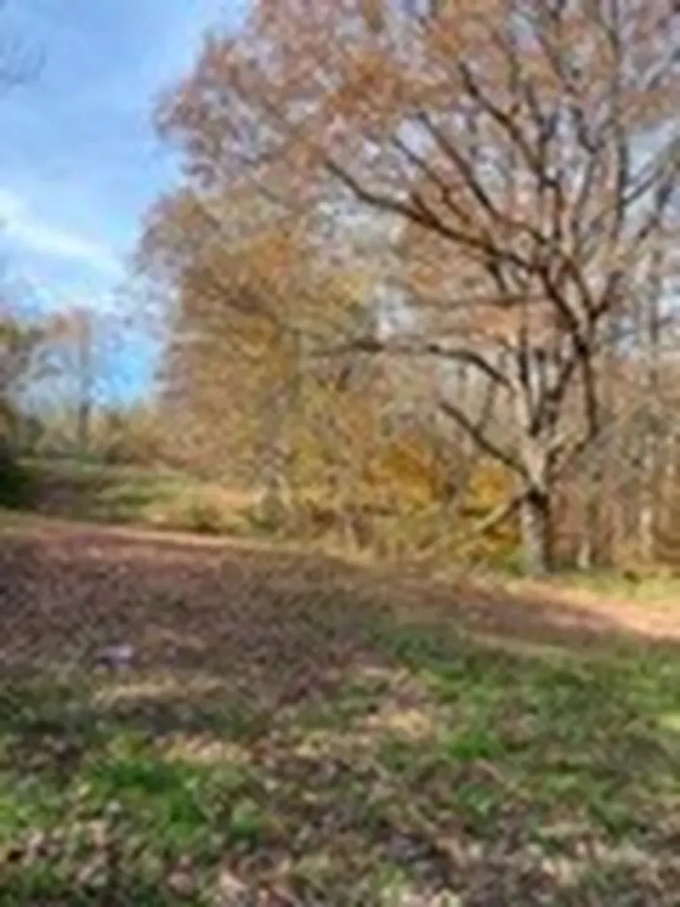 411&415 Allen Ferry Road Smithville TN 37166