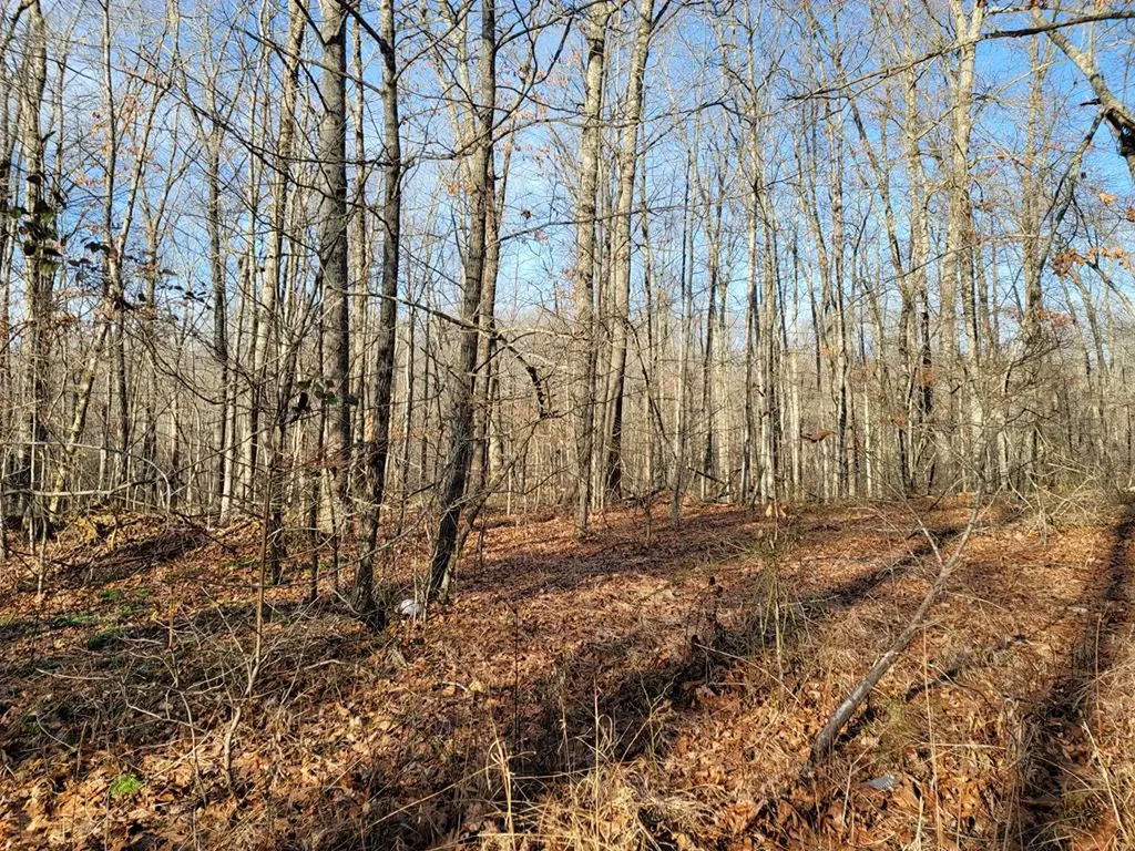Lot 254 Viola Drive Sparta TN 38583