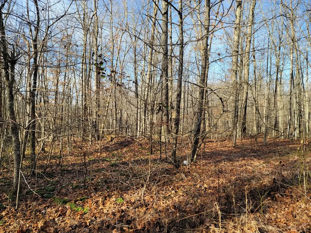 Lot 254 Viola Drive Sparta TN 38583
