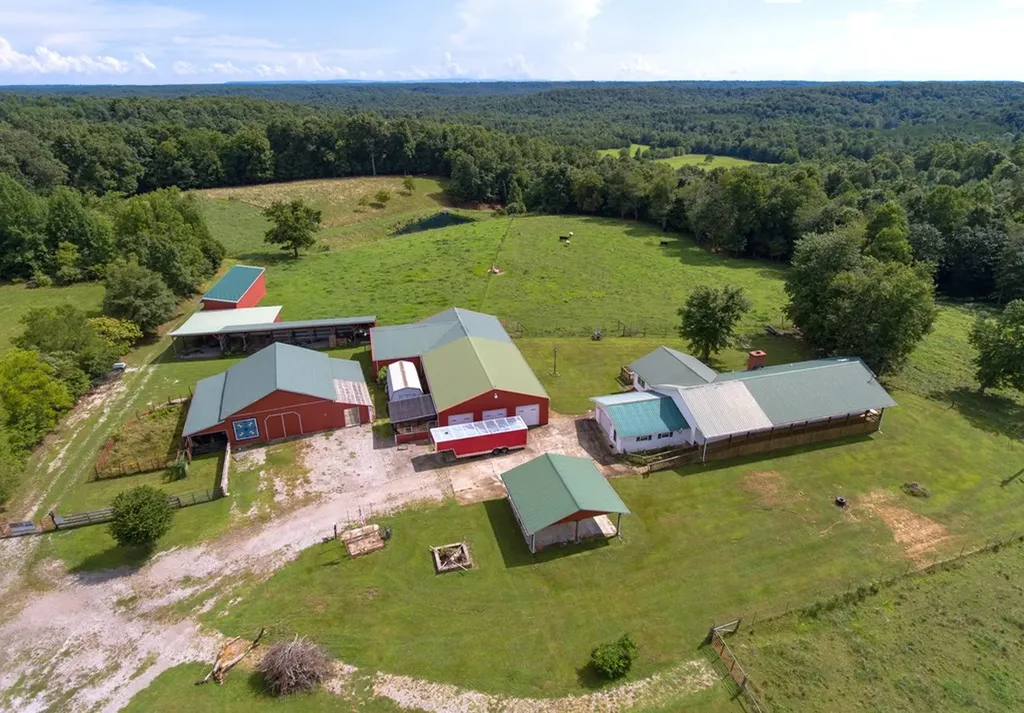 1157 Burrville Road Sunbright TN 37872