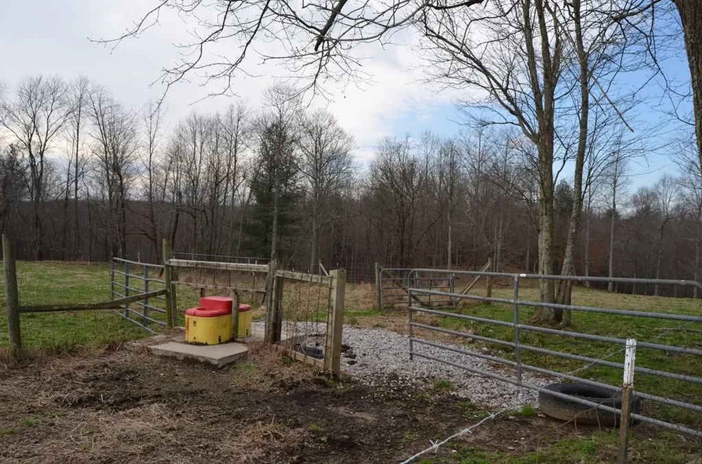 1157 Burrville Road Sunbright TN 37872