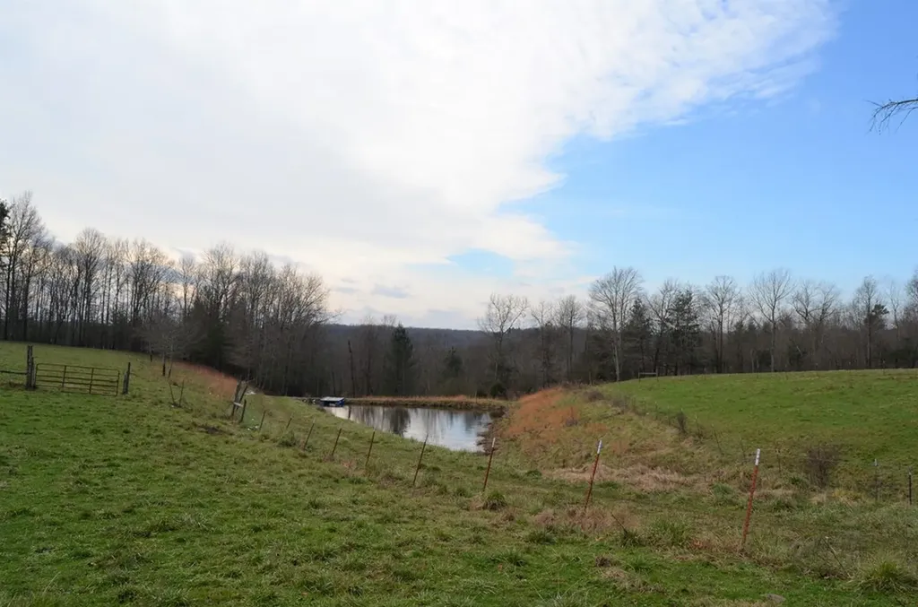 1157 Burrville Road Sunbright TN 37872