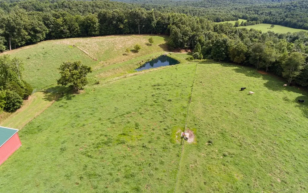 1157 Burrville Road Sunbright TN 37872