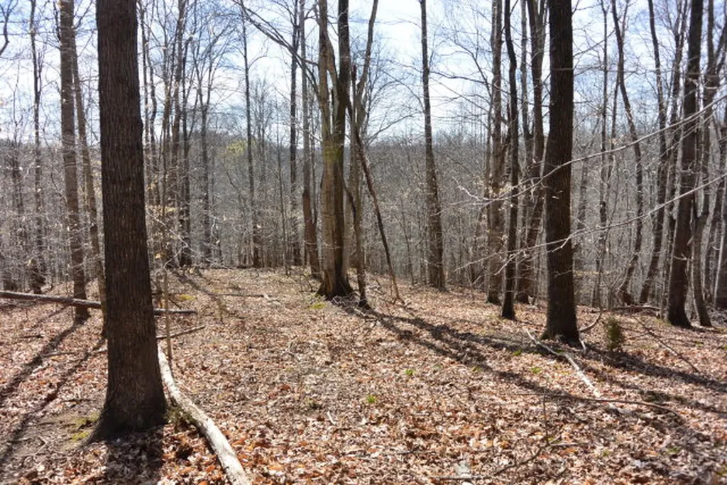 Lot 4 Trinity Lane Allons TN 38541