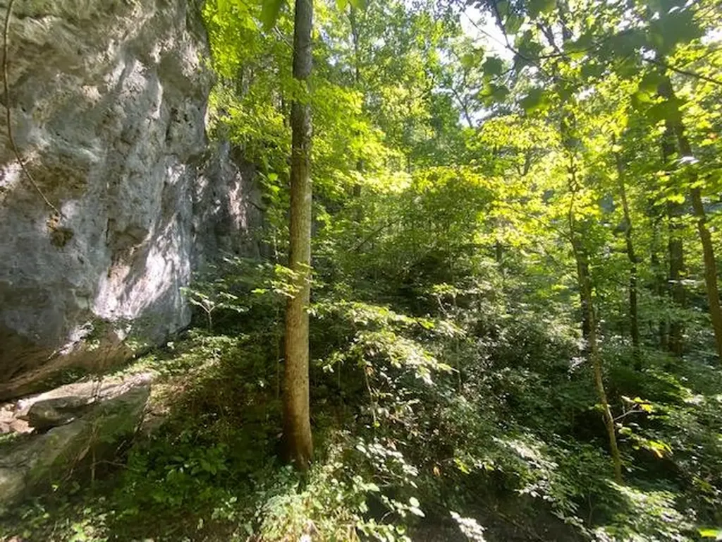 8705 Medlin Road Baxter TN 38544