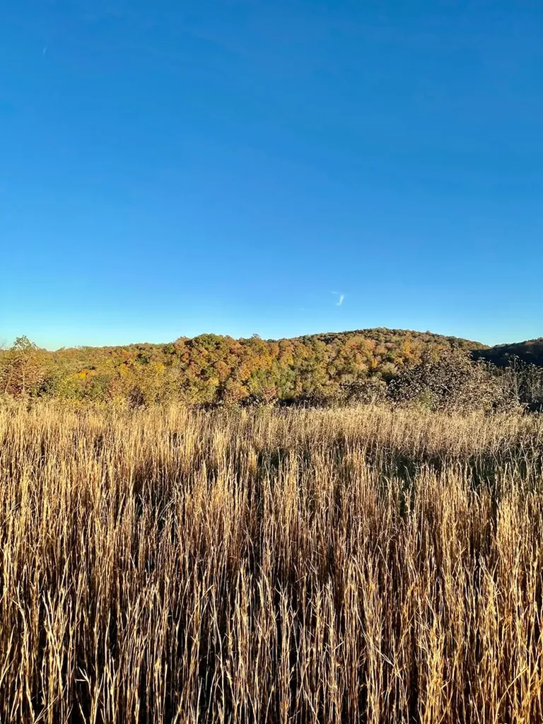 Lot 23 Holly Bend Byrdstown TN 38549