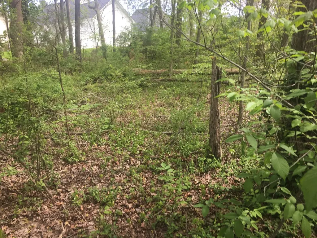 384 S Old Kentucky Cookeville TN 38501