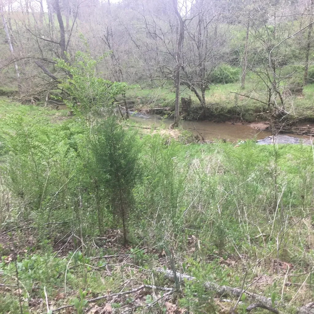0 Plum Creek Sparta TN 38583