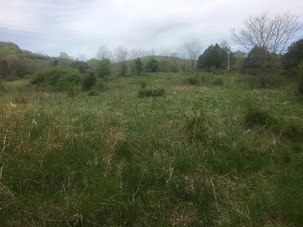 0 Plum Creek Sparta TN 38583