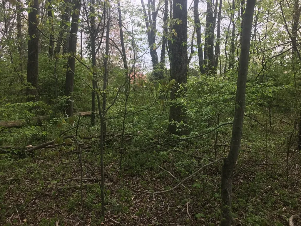0 Plum Creek Sparta TN 38583