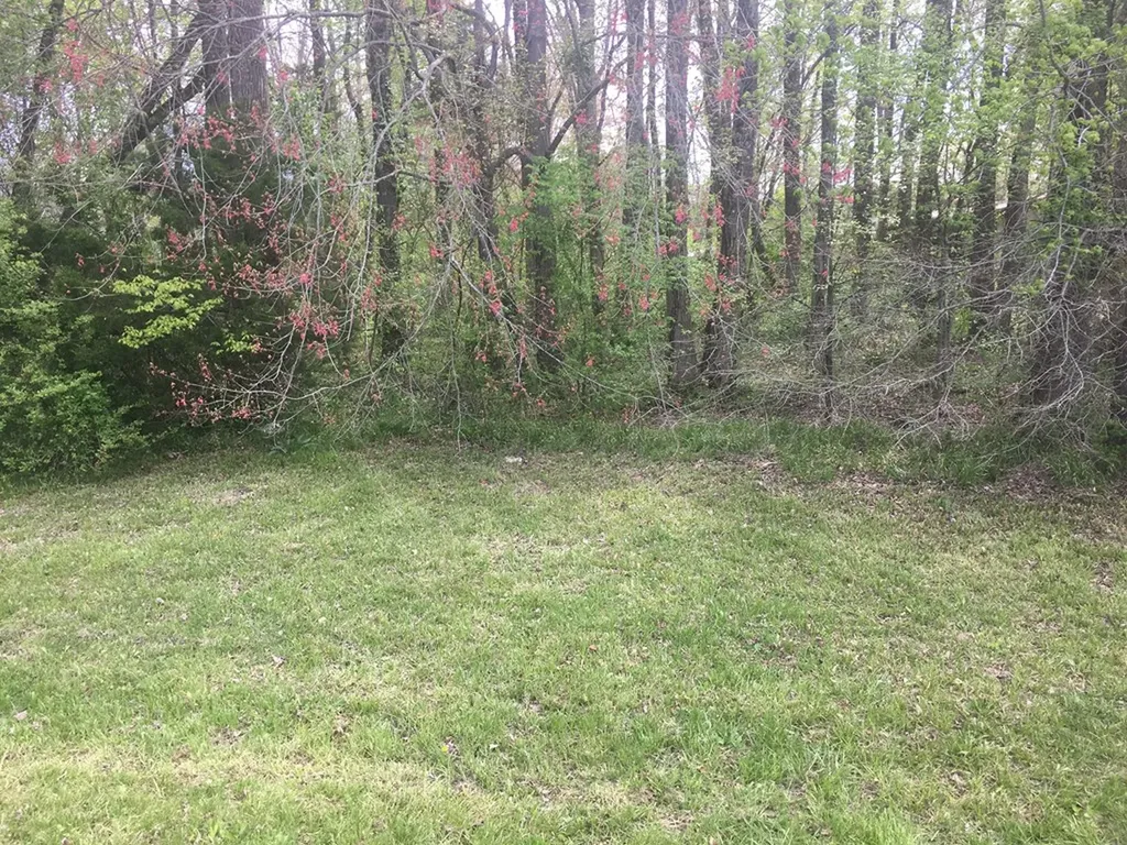 0 Plum Creek Sparta TN 38583