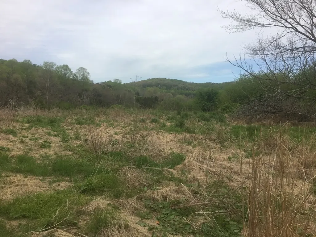 0 Plum Creek Sparta TN 38583
