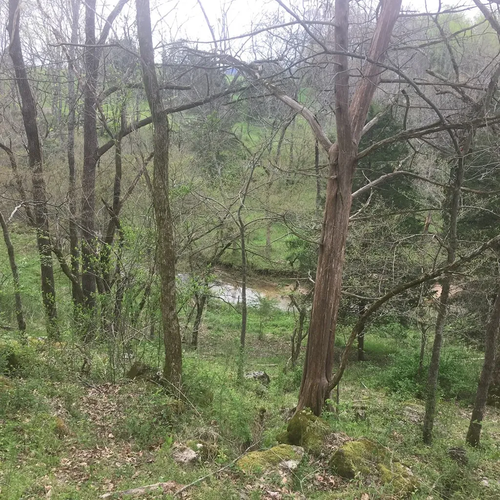 0 Plum Creek Sparta TN 38583