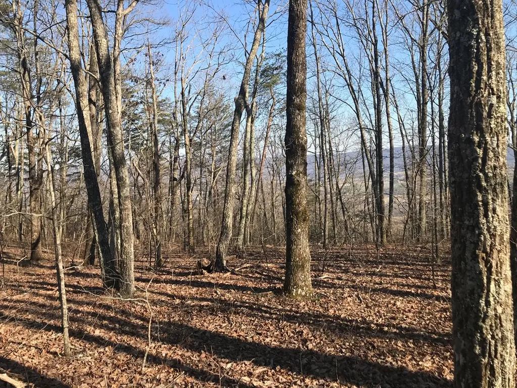1.15 Gray Rock View Pikeville TN 37367