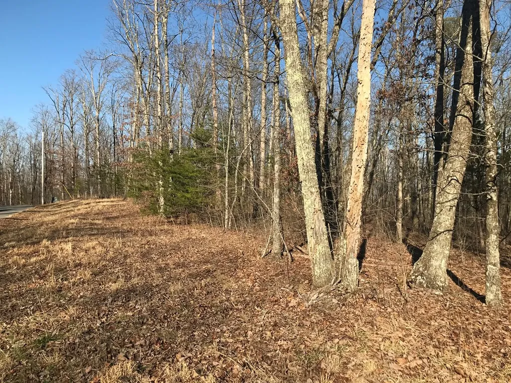 1.15 Gray Rock View Pikeville TN 37367