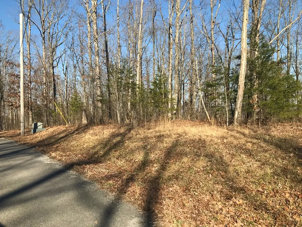 1.15 Gray Rock View Pikeville TN 37367