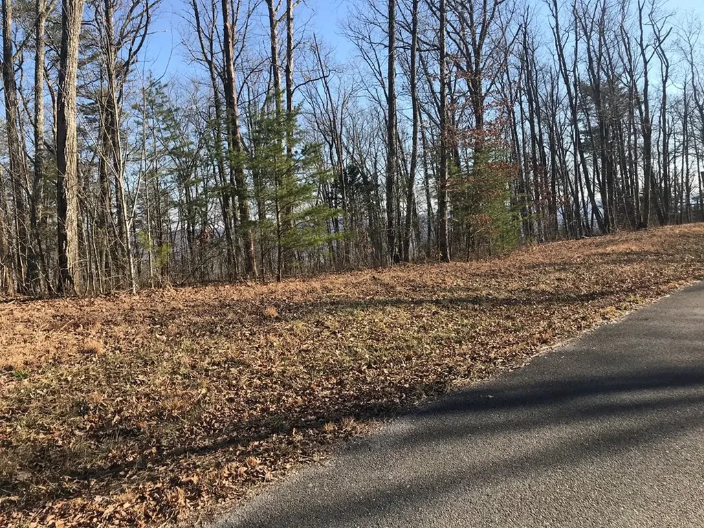 1.15 Gray Rock View Pikeville TN 37367