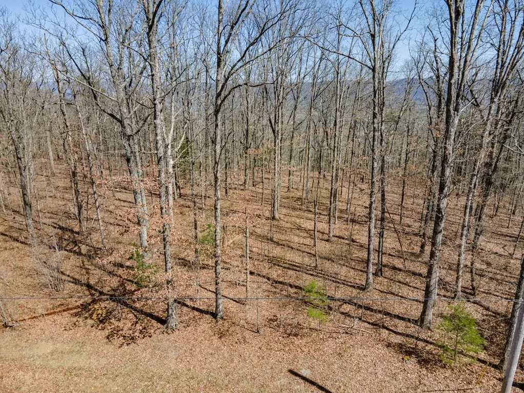 1.15 Gray Rock View Pikeville TN 37367