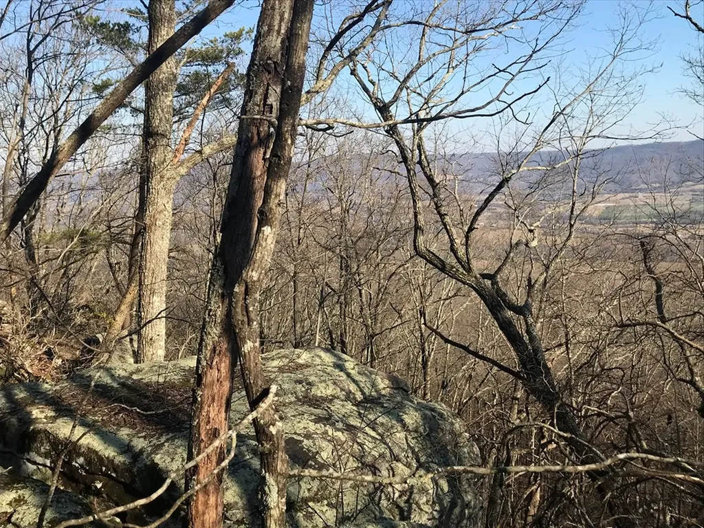 1.15 Gray Rock View Pikeville TN 37367