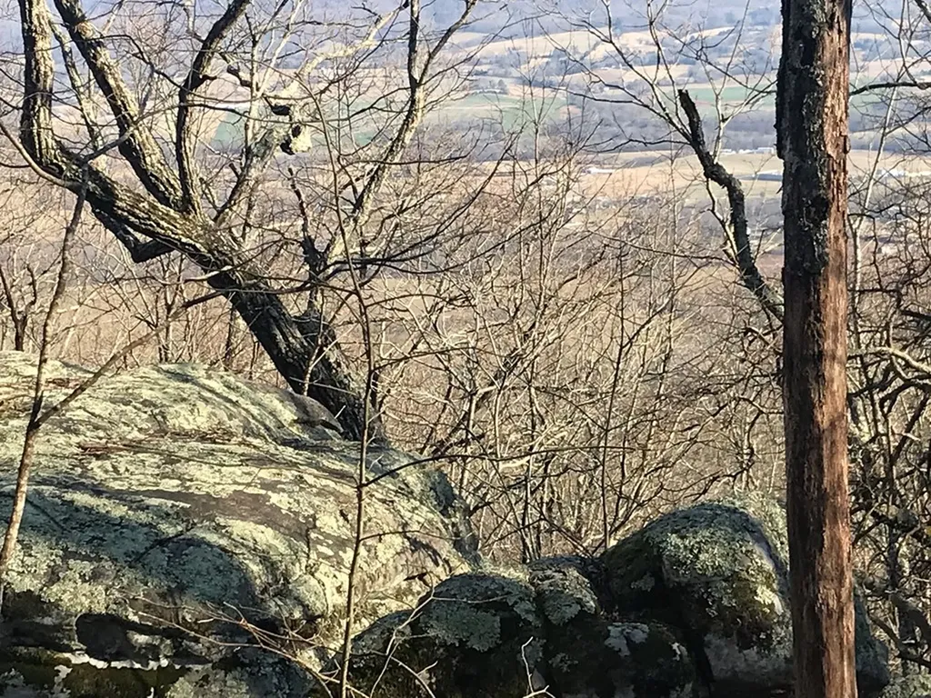 1.15 Gray Rock View Pikeville TN 37367
