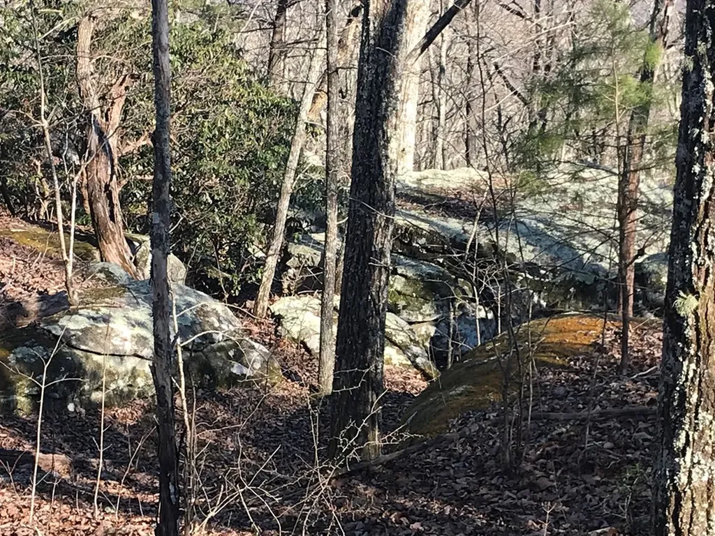 1.15 Gray Rock View Pikeville TN 37367