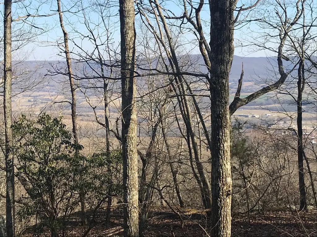 1.15 Gray Rock View Pikeville TN 37367