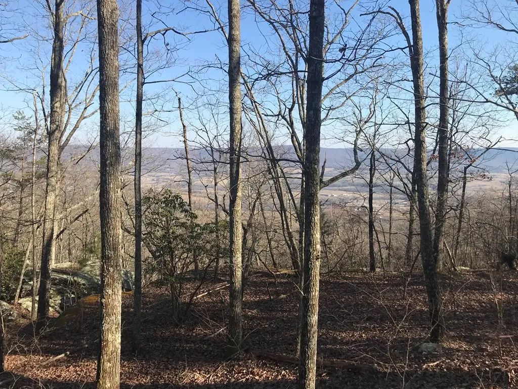 1.15 Gray Rock View Pikeville TN 37367