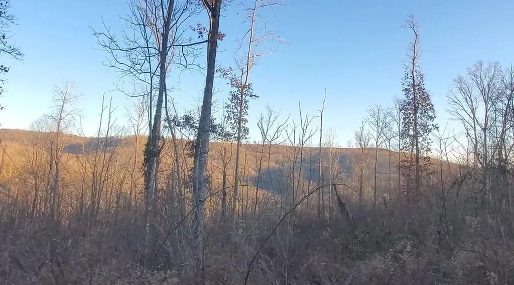 Tract 10 Off Glenobey Road Jamestown TN 38555