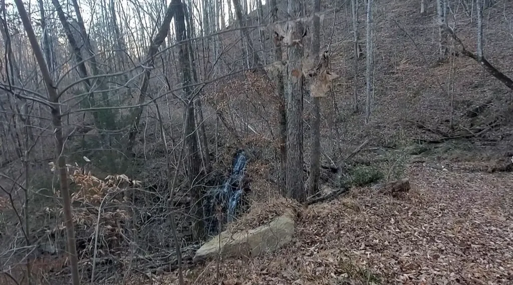 Tract 10 Off Glenobey Road Jamestown TN 38555
