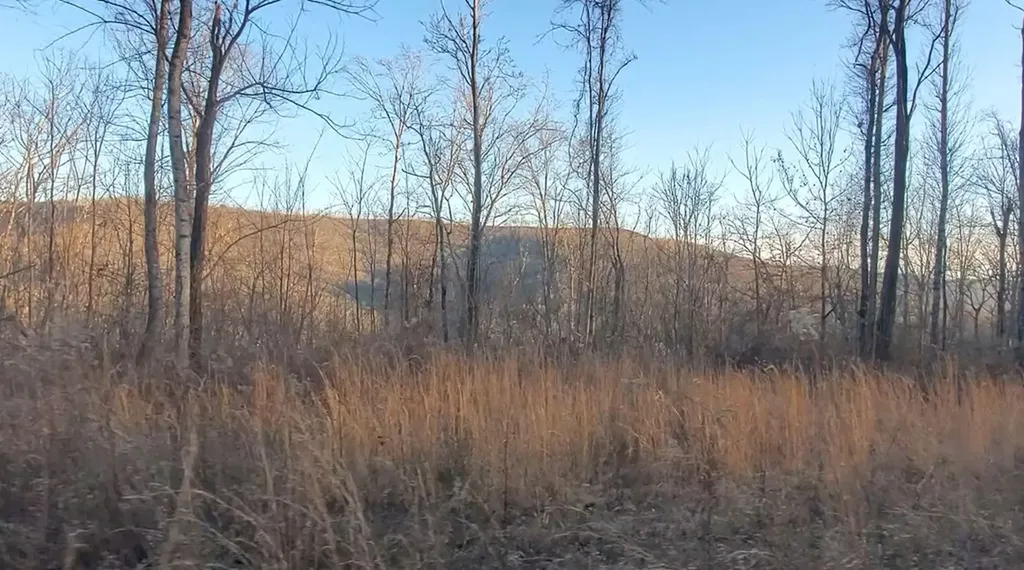 Tract 10 Off Glenobey Road Jamestown TN 38555