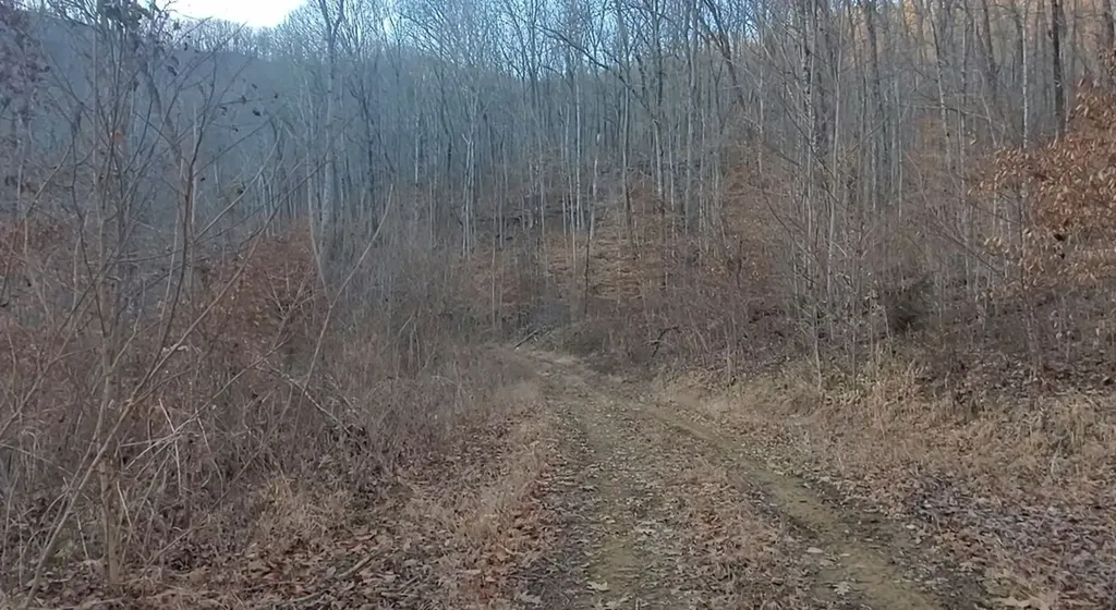 Tract 10 Off Glenobey Road Jamestown TN 38555