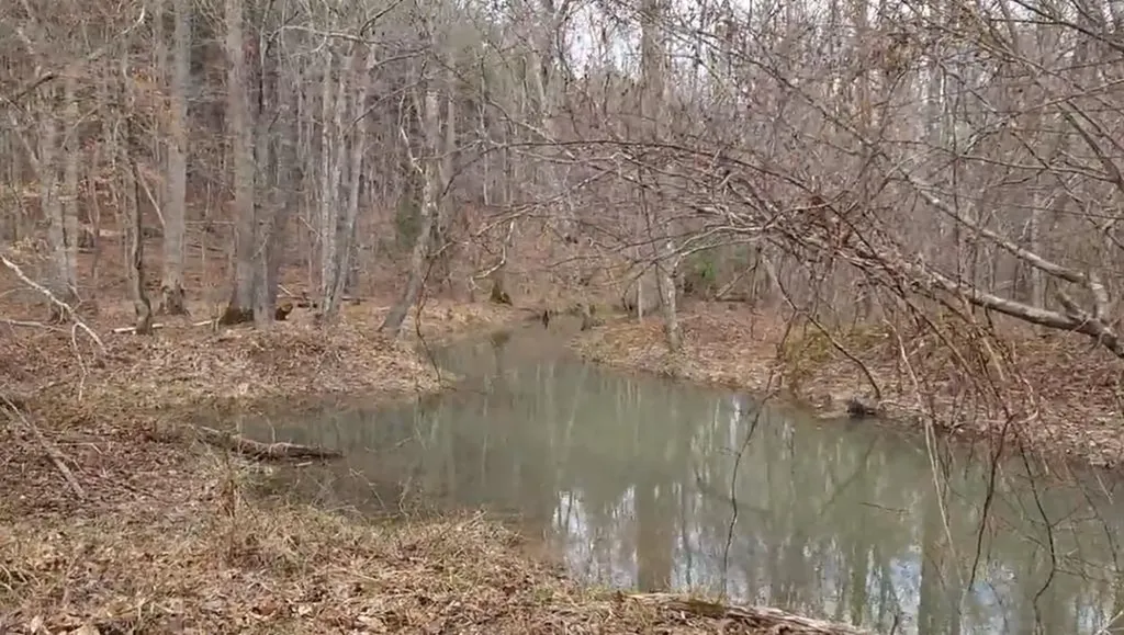 Tract 8c Off Rugby Highway Robbins TN 37852