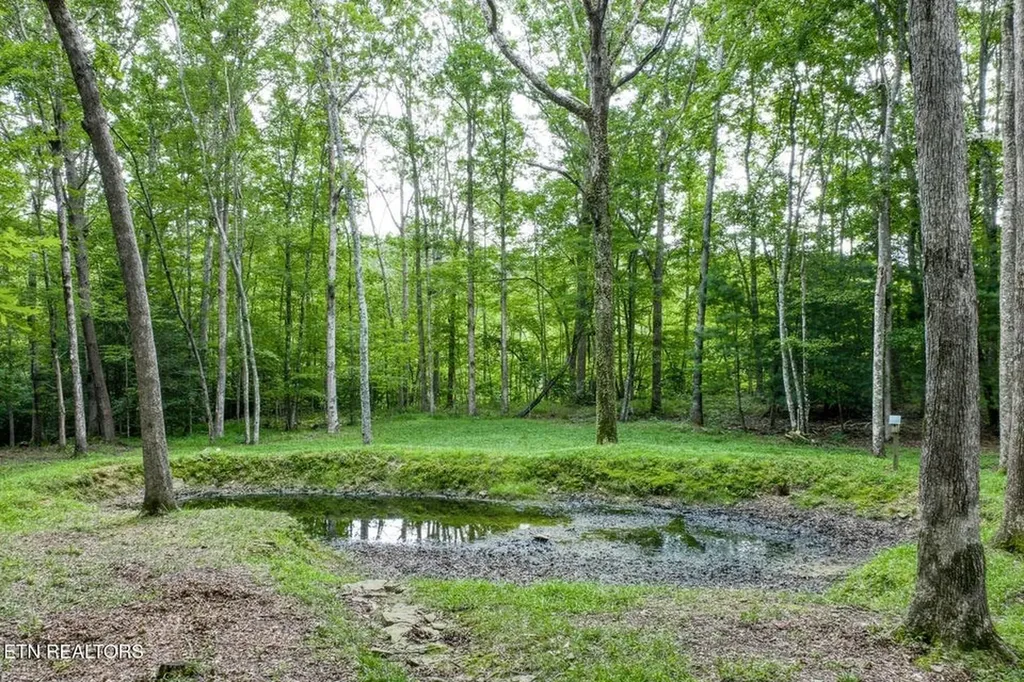 715 White Oak Road Monterey TN 38574