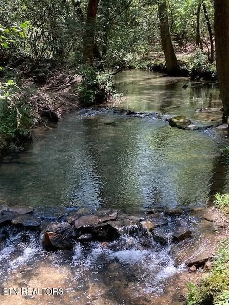 715 White Oak Road Monterey TN 38574