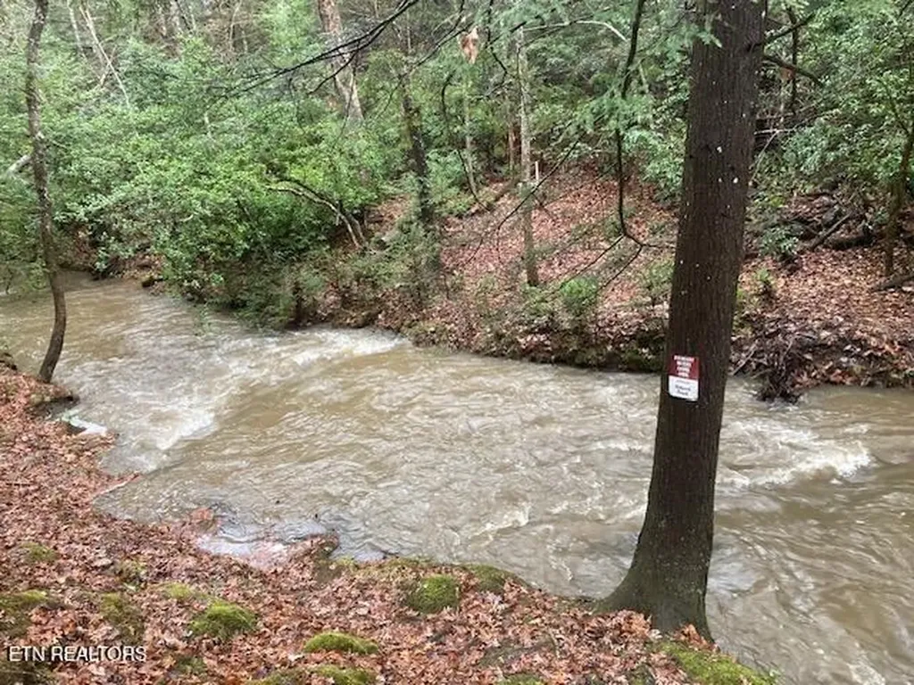 715 White Oak Road Monterey TN 38574