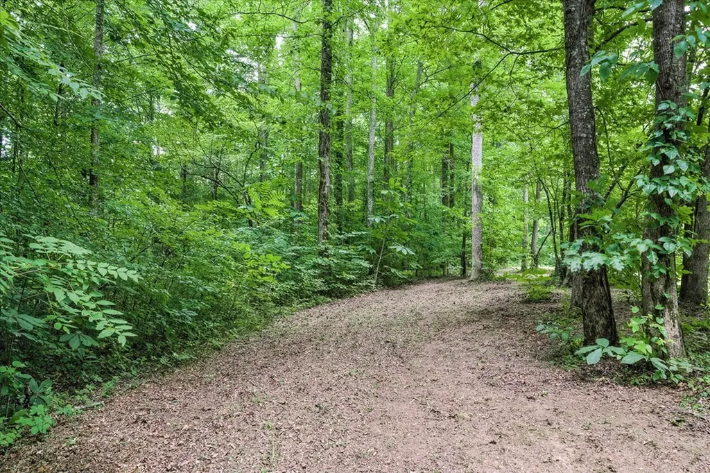 221 Cedar Grove Lane Jamestown TN 38556