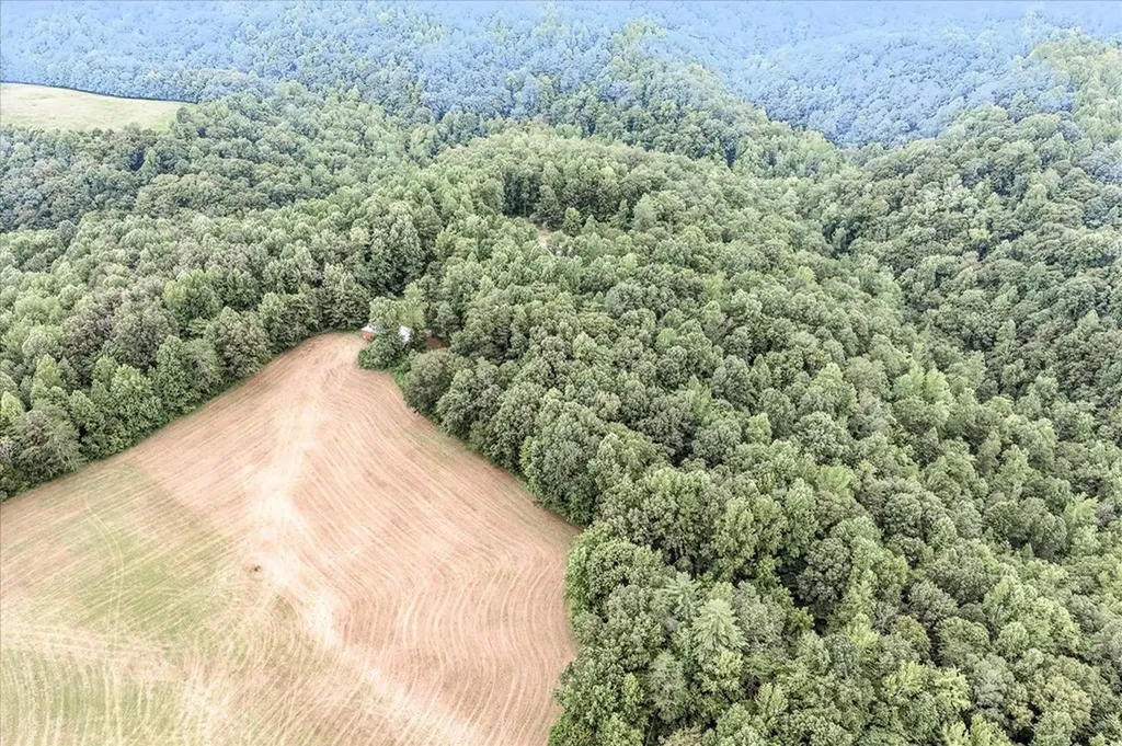 221 Cedar Grove Lane Jamestown TN 38556