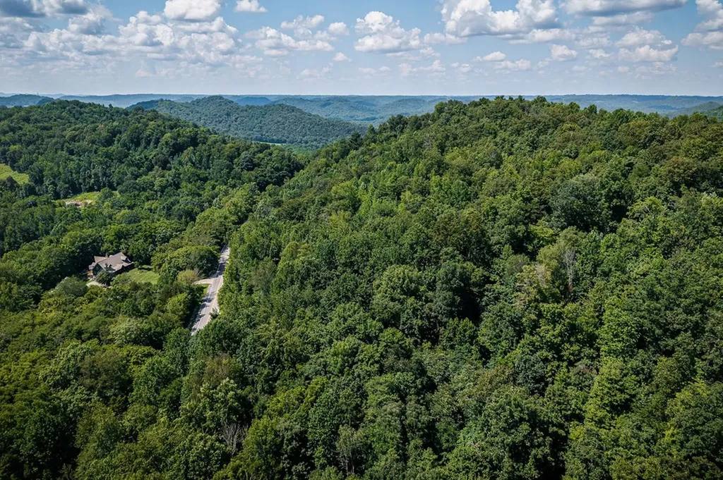 0 Buffalo Valley Road Silver Point TN 38582