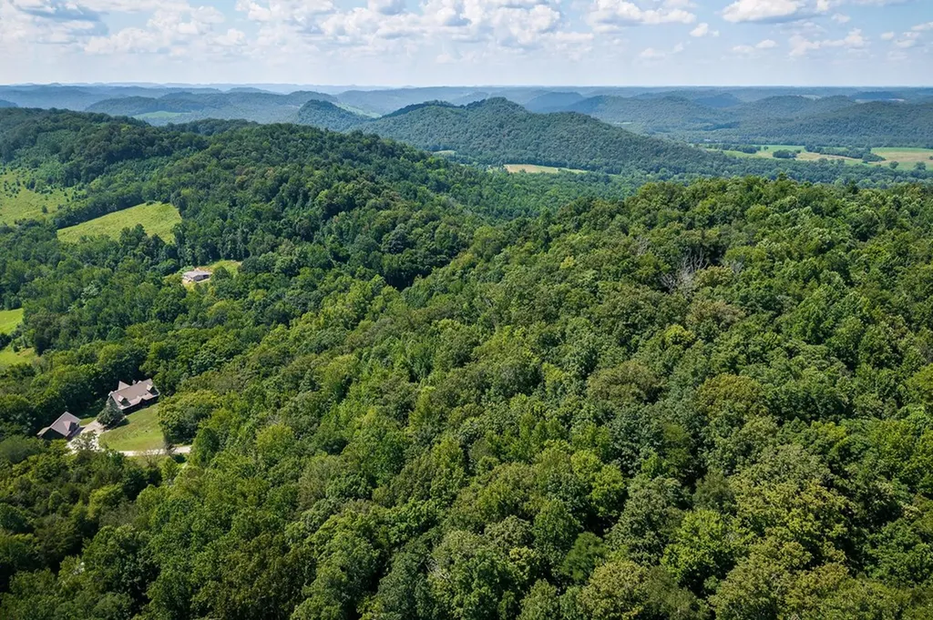 0 Buffalo Valley Road Silver Point TN 38582