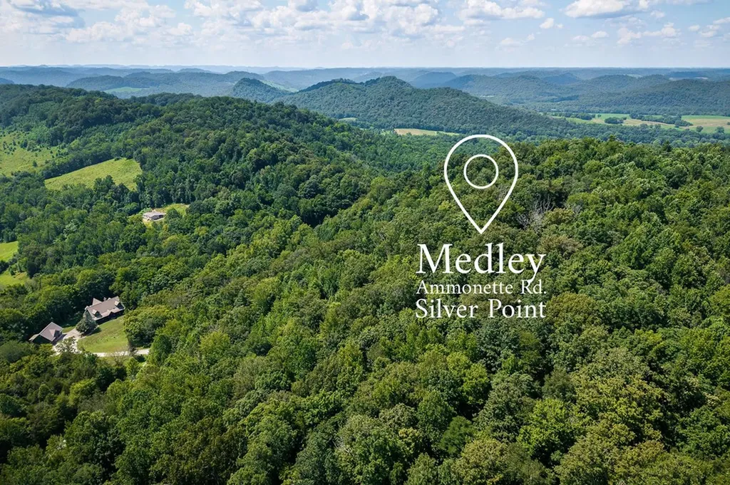 0 Buffalo Valley Road Silver Point TN 38582