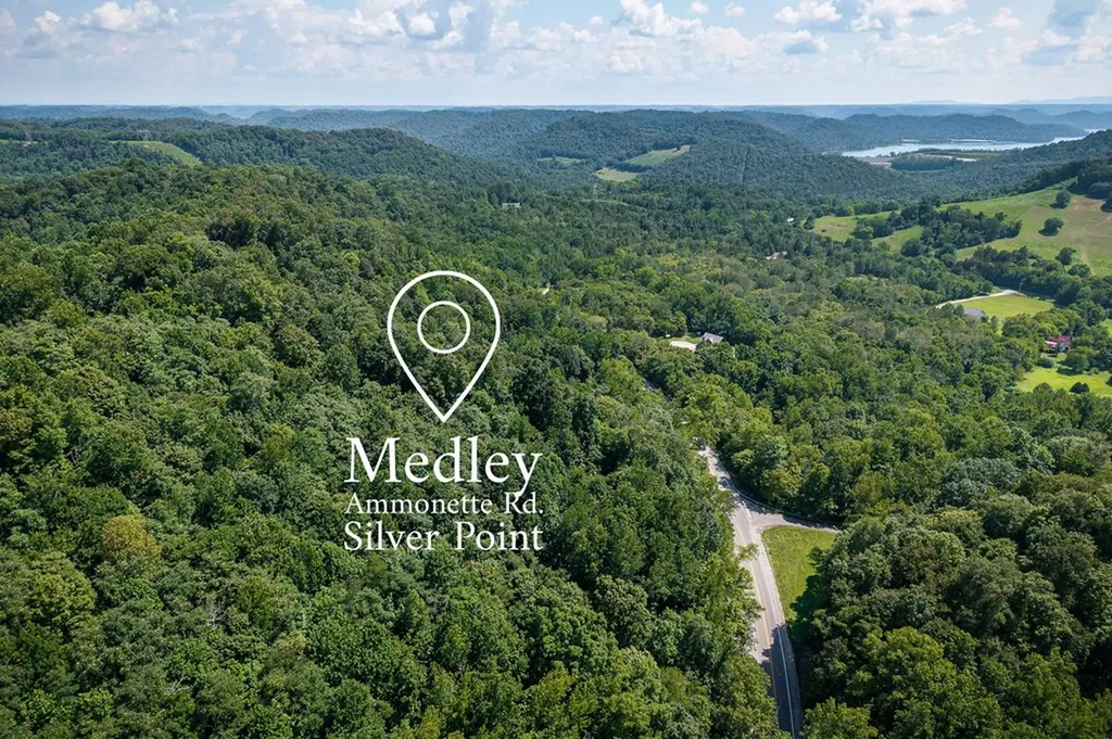 0 Buffalo Valley Road Silver Point TN 38582