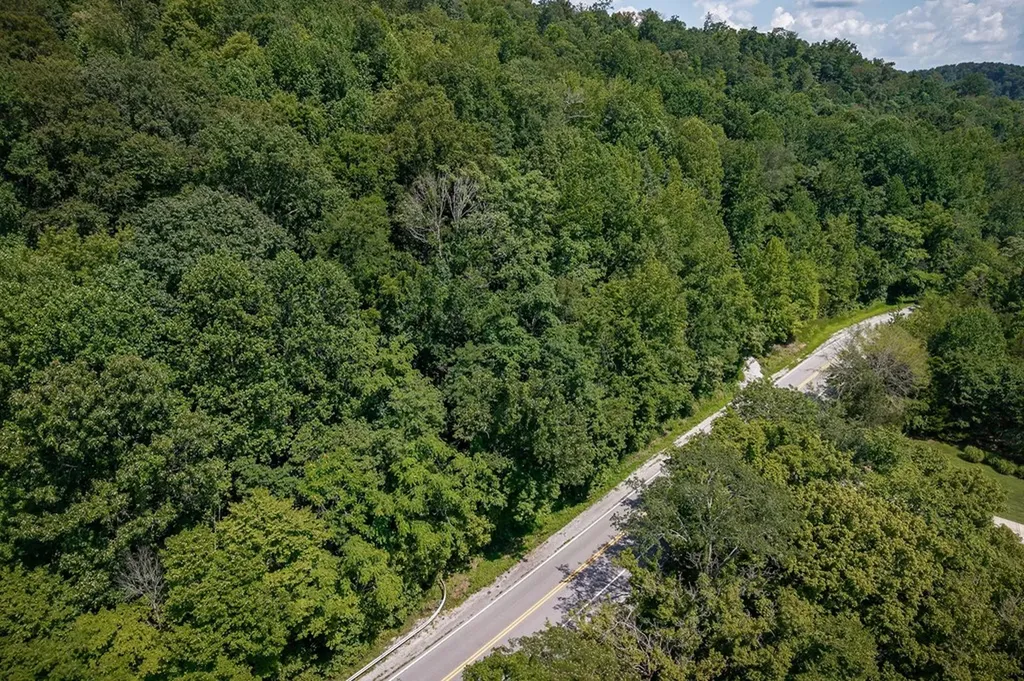 0 Buffalo Valley Road Silver Point TN 38582