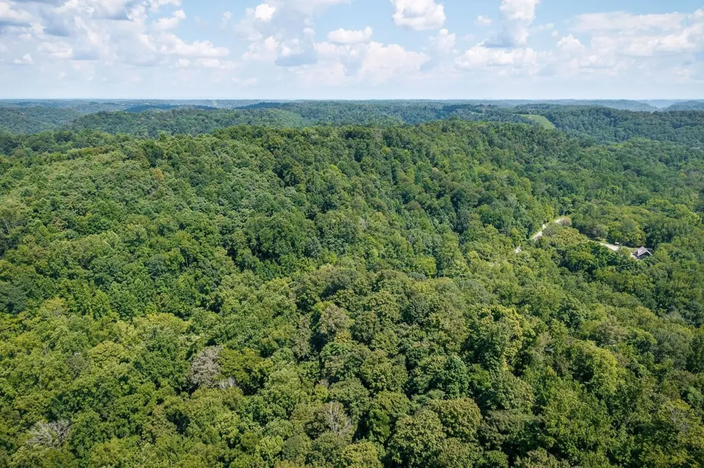0 Buffalo Valley Road Silver Point TN 38582