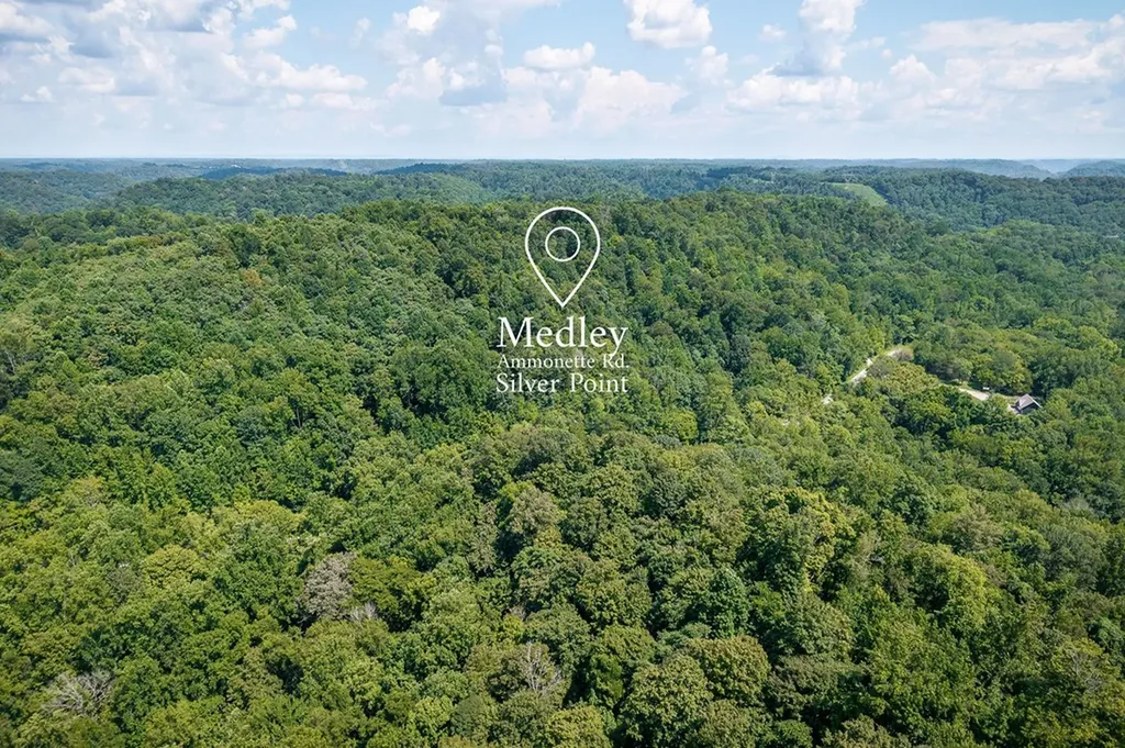 0 Buffalo Valley Road Silver Point TN 38582