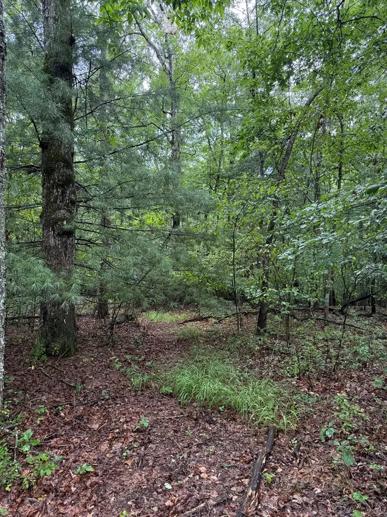 929 Kemah Lane Crossville TN 38572